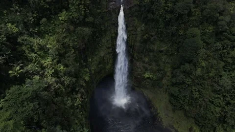 Akaka Falls Stock Footage 195883669