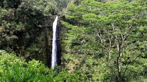 Akaka Falls, Hawaii Stock Footage 10749666