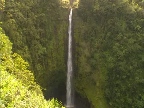 Akaka Falls on Kolekole Stream Stock-Footage 22243289
