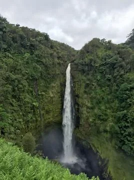 Akaka Falls Stock Photos