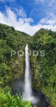 Akaka Falls State Park Big Island Hawaii Stock Photos