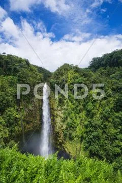 Akaka Falls State Park Big Island Hawaii Stock Photos