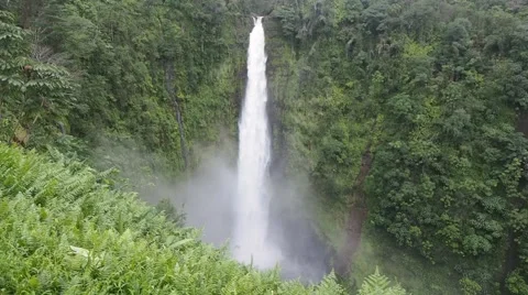 Akaka Falls State Park is a state park on Hawaii Island. Stock Footage 58792536