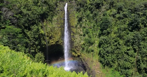 Akaka Waterfall, famous 442 foot scenic waterfall,big island,Hawaii,USA Stock Footage 120888826