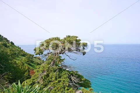 Akamas Stock Photos