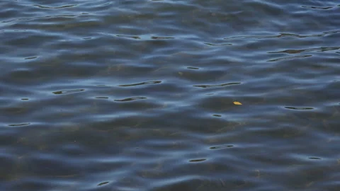 Akan Lake Vídeo Stock 333152158