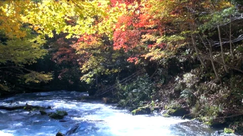 Akan River in Autumn Stock-Footage 332197255