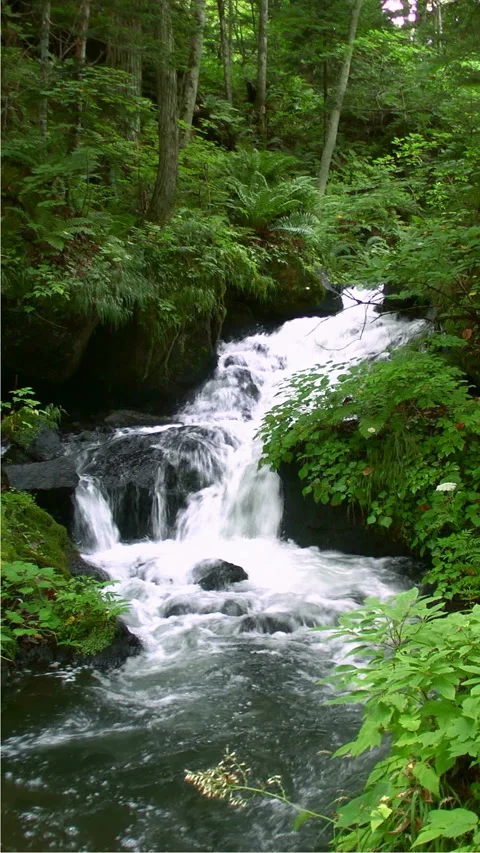Akan River Source Video stock 332383923
