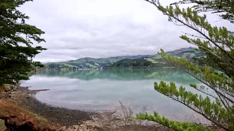 Akaroa Harbour and Onawe Track : Scenic Views of Rolling Hills and Rocky Co.. Video stock 286777582