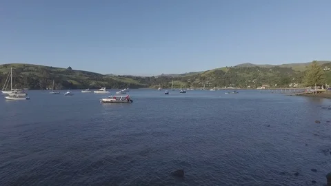 Akaroa Harbour Видео 81881919