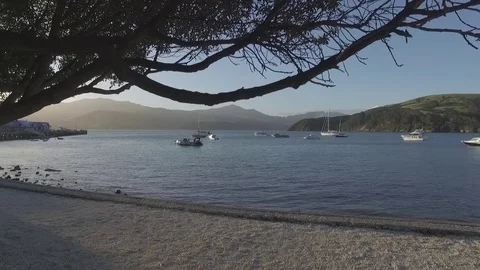 Akaroa Harbour 動画素材 81881949