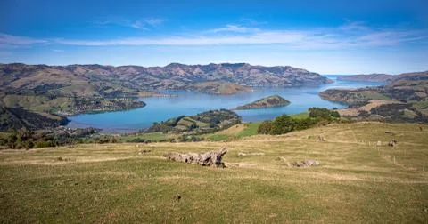 Akaroa Harbour Stock Photos
