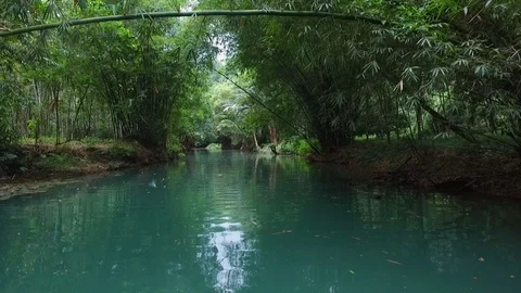Ake in forest in thailand Stock Footage 126233619