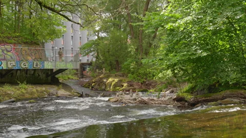 Akerselva River Rushing Waters Through Oslo Urban Park Stock Footage 343521206