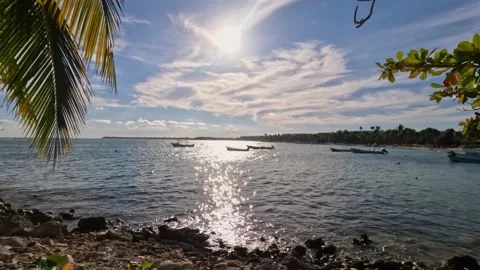 Akumal bay panoramic view Stock Footage 230200162
