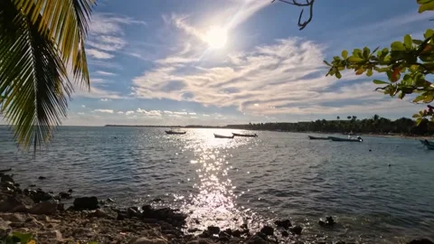 Akumal bay panoramic view Stock Footage 230200171