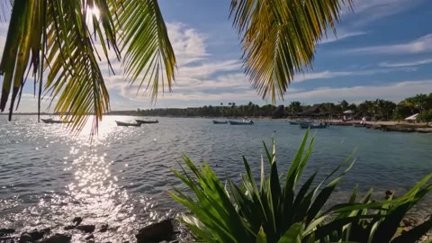 Akumal bay panoramic view Stock Footage 230200186