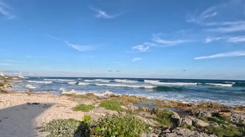 Akumal bay panoramic view Stock Footage 230340989