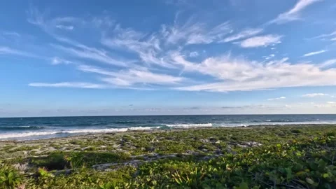 Akumal bay panoramic view Stock Footage 230340991