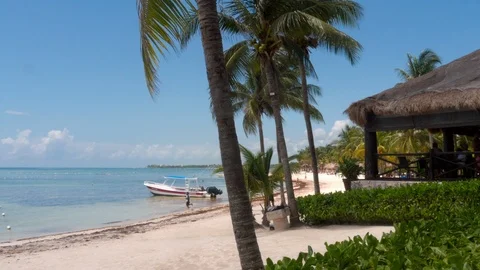 Akumal beach Stock Footage 94621175