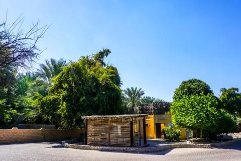 Al Ain Oasis 库存照片