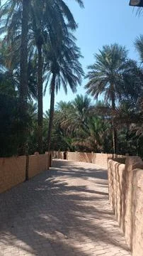 Al Ain Oasis Stock Photos