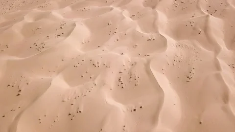 Al Qudra desert Video stock 97944527