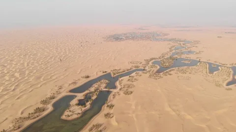 Al qudra lakes Stock Footage 97701238