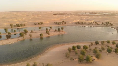 Al Qudra lakes Stock Footage 97712774