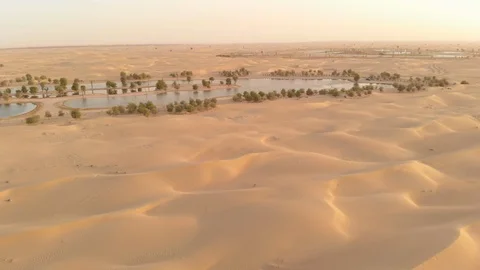 Al qudra lakes Stock Footage 97713082