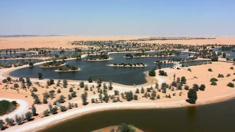Al Qudra Lakes Stock Footage 115164806