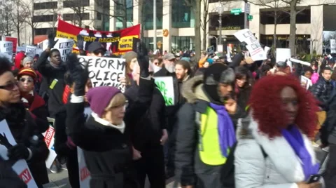 Rice Law Stock Videos – Royalty-Free HD & 4K Videos | Pond5