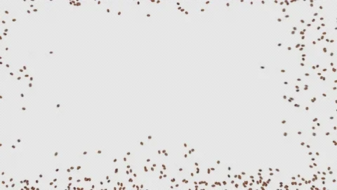 Alabama Coffee Beans Stock Footage 147418417