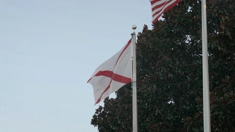 Alabama state flag in wind Stock Footage 125106648