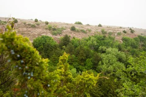 Alabaster Caverns - Oklahoma Foto stock