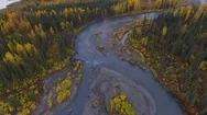 Alaka Autumn Aerial Landscape With Flowing River And Colorful Trees Stock Footage