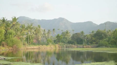 Alam 1 Video stock 215024437