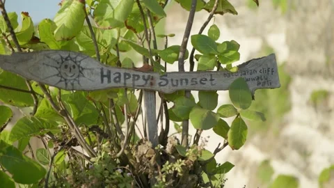 Alam 14 Video stock 215013880