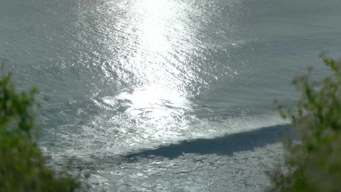 Alam 17 Video stock 215005500