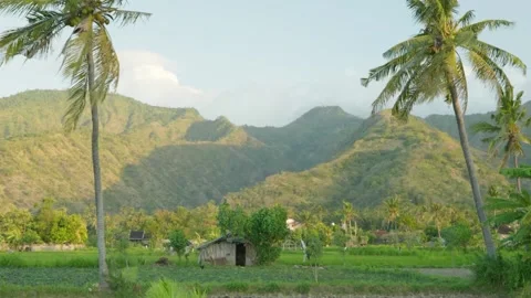 Alam 7 Video stock 215015583