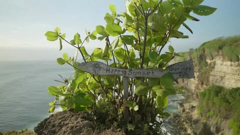 Alam 8 Video stock 215014745