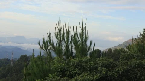 Alam Indonesia (10) Stock-Footage 284844785
