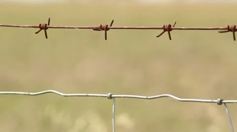 Alambre Stock Footage 11241249