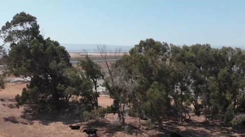 Alameda Creek 4K 018 Stock Footage 171548601