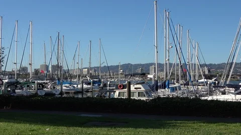 Alameda Marina Stockbeeldmateriaal 91454080