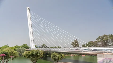 Alamillo Bridge with tall pylon and steel cables crossing over Guadalquivir Stock Footage 300605366