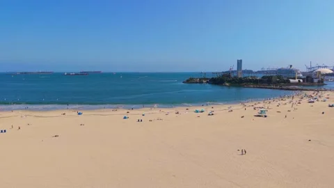 Alamitos Bay Strafe Stock Footage 341774196