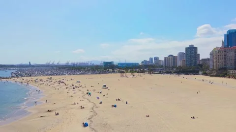 Alamitos Beach Marina View Stock Footage 341774193