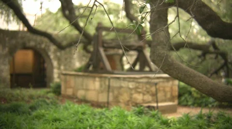 Alamo Stock Footage 562788