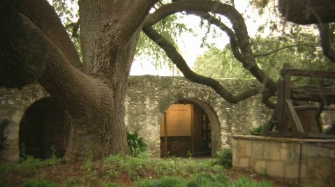 Alamo Stock Footage 562797